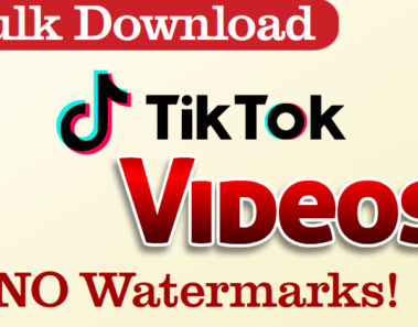 Tiktok Video Downloader without Watermark